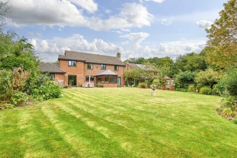 14 Whitedelves Wellingborough-26.jpg