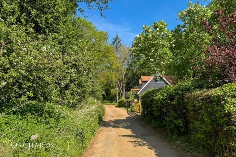 Views of the lane