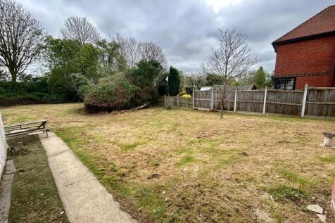 garden 3.jpg