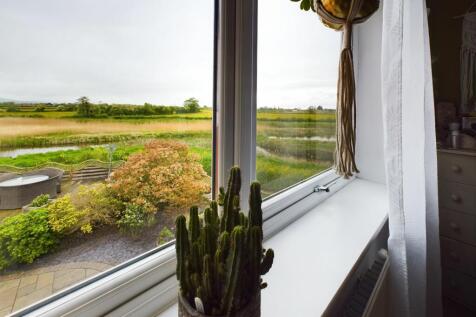 View From Bed 2