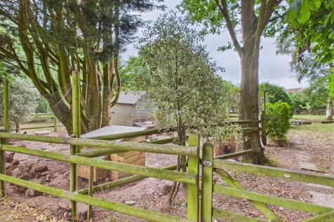 Property Image 34