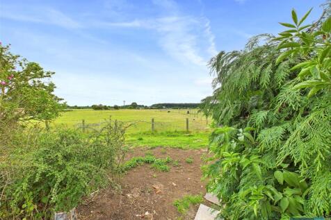 Field Views