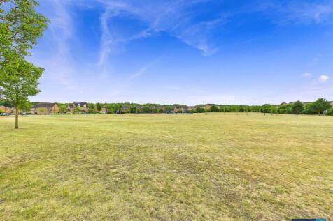Park/Field