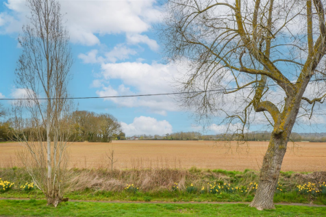 DSC_0767.png