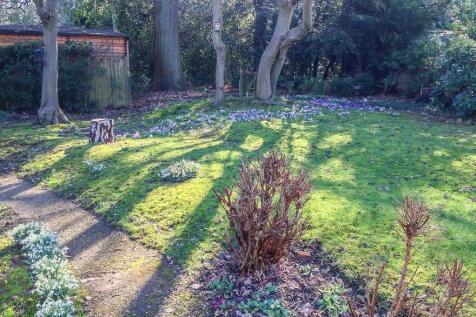 Bridge close garden 1.jpg