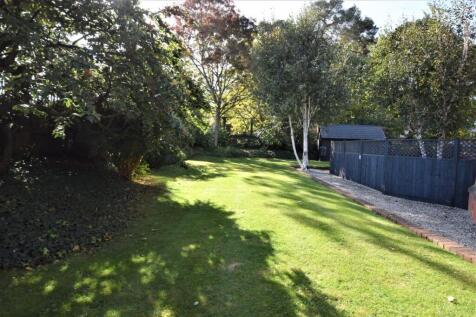 Photo 07