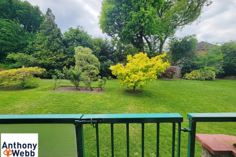 Communal Garden