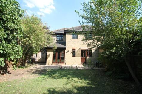 Rear aspect