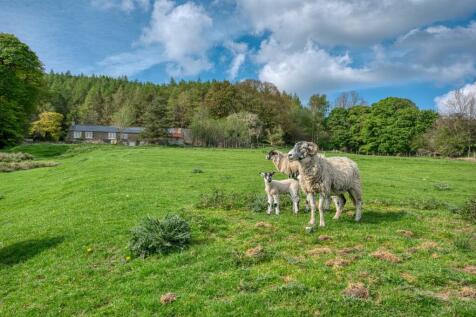 DSC_5511_hdr.jpg