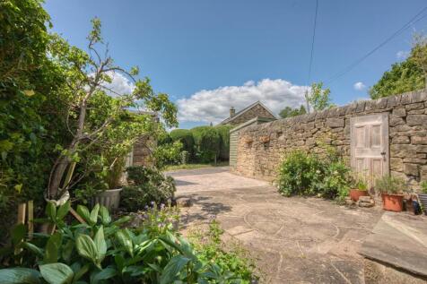 Saxton Mee 3 Cannonfields 0023.jpg