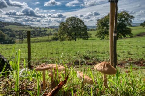 Saxton Mee 12a Sydnope Hall 0058.jpg