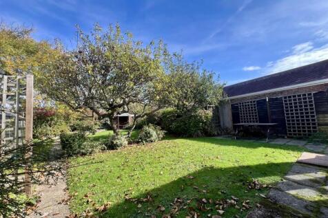 Garden4.jpg