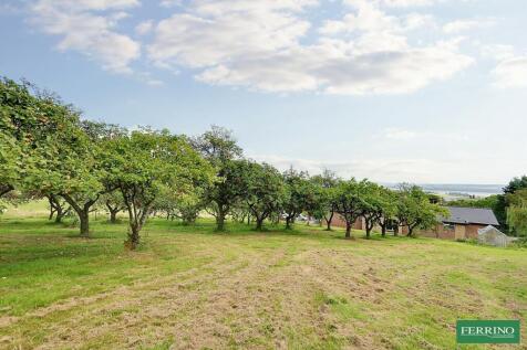 Orchard