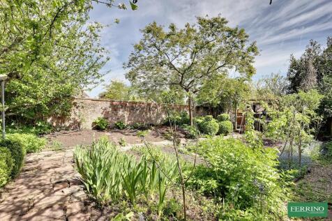 Vegetable Garden