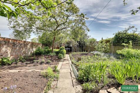 Vegetable Garden