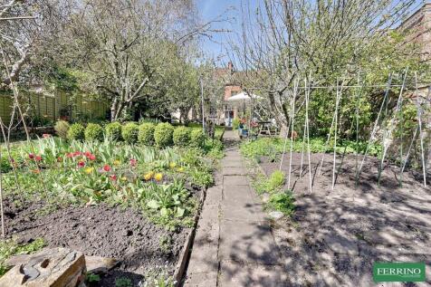 Vegetable Garden