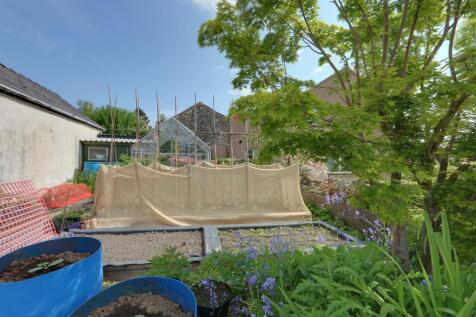 Vegetable Garden