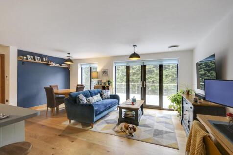 Open Living/Kitchen/Dining 