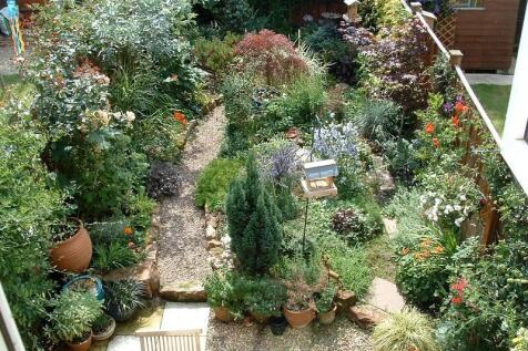 Summer Garden