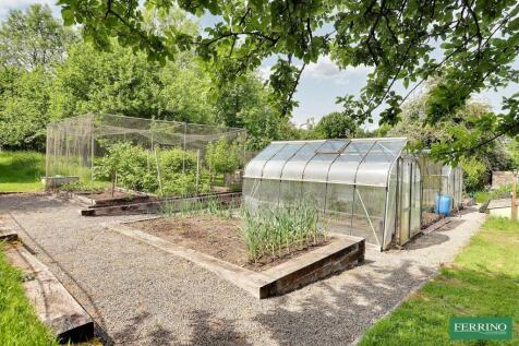 Vegetable Garden