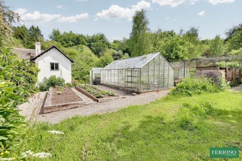 Vegetable Garden