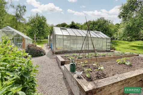 Vegetable Garden