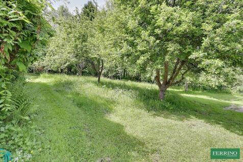 Orchard