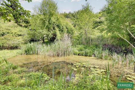 Pond
