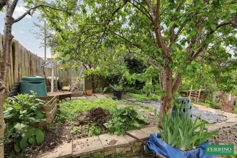 Vegetable Garden