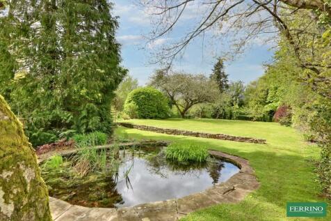 Wildlife Pond