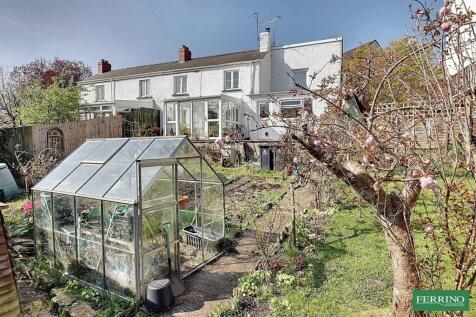 Vegetable Garden