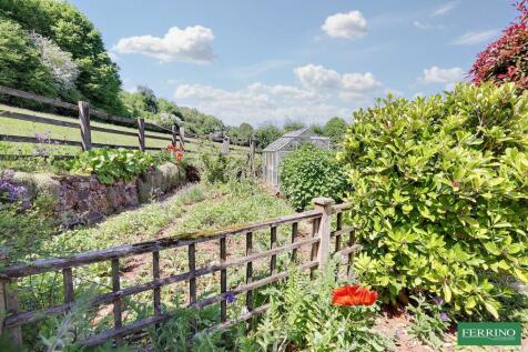 Vegetable Garden