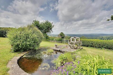 Pond