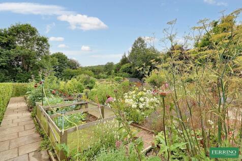 Vegetable Garden
