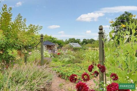 Raised Beds