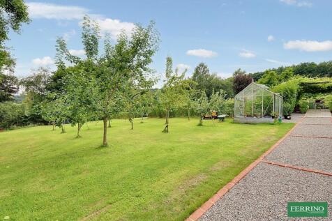 Orchard