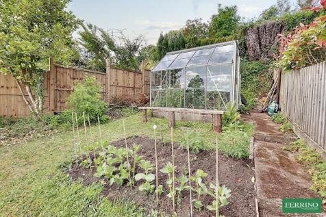 Vegetable Garden