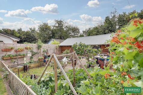 Vegetable Bed