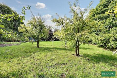 Orchard