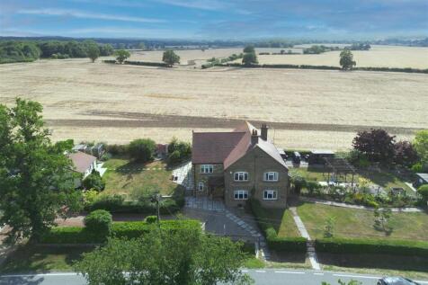 DJI_0123.jpg