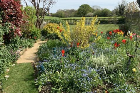 Vendors own images (5).jpg