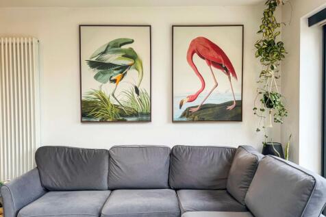 Open Plan Living Kitchen Dining Room