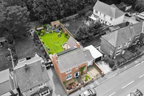 DJI_0548_1-1.jpg
