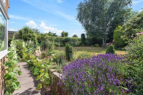 Rear Garden (1).jpg