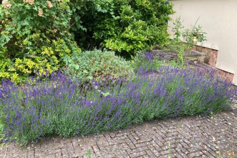 Property Image 36
