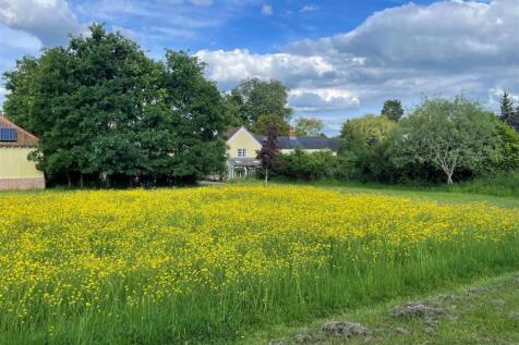 Meadow 1.jpg