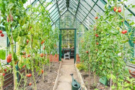 Lodge Farm-42.jpg