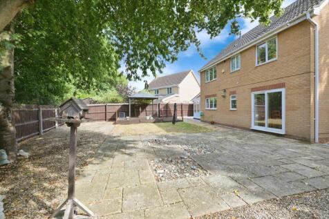 Property Image 16
