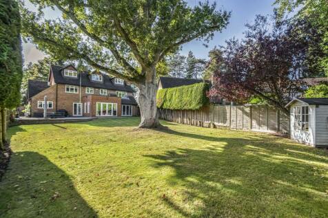 Property Image 31