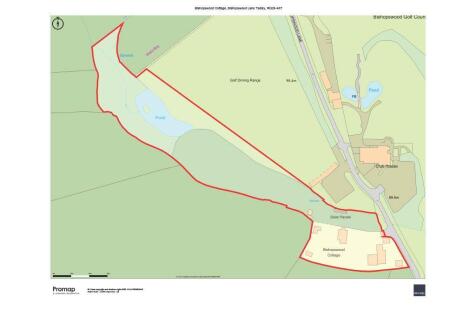 Bishops Wood.jpg